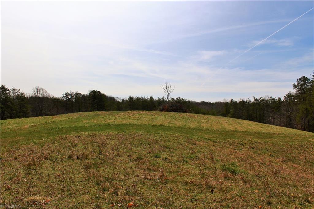 2045 Ray Loop Road Westfield, NC 27053 - Photo 29 of 30 Gallery Image 29