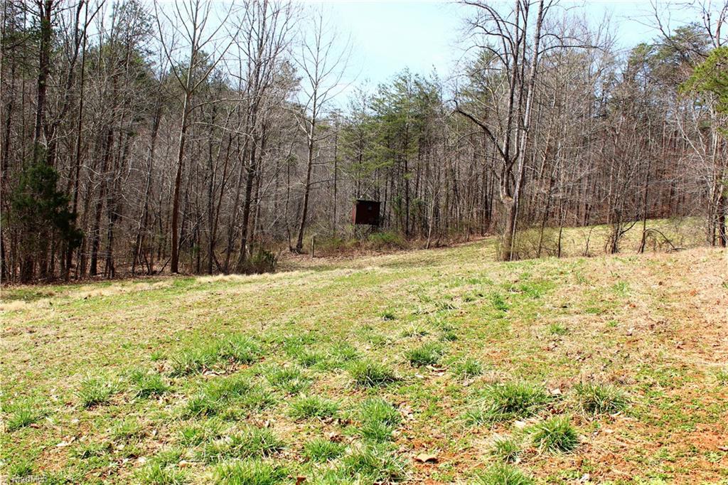 2045 Ray Loop Road Westfield, NC 27053 - Photo 30 of 30 Gallery Image 30