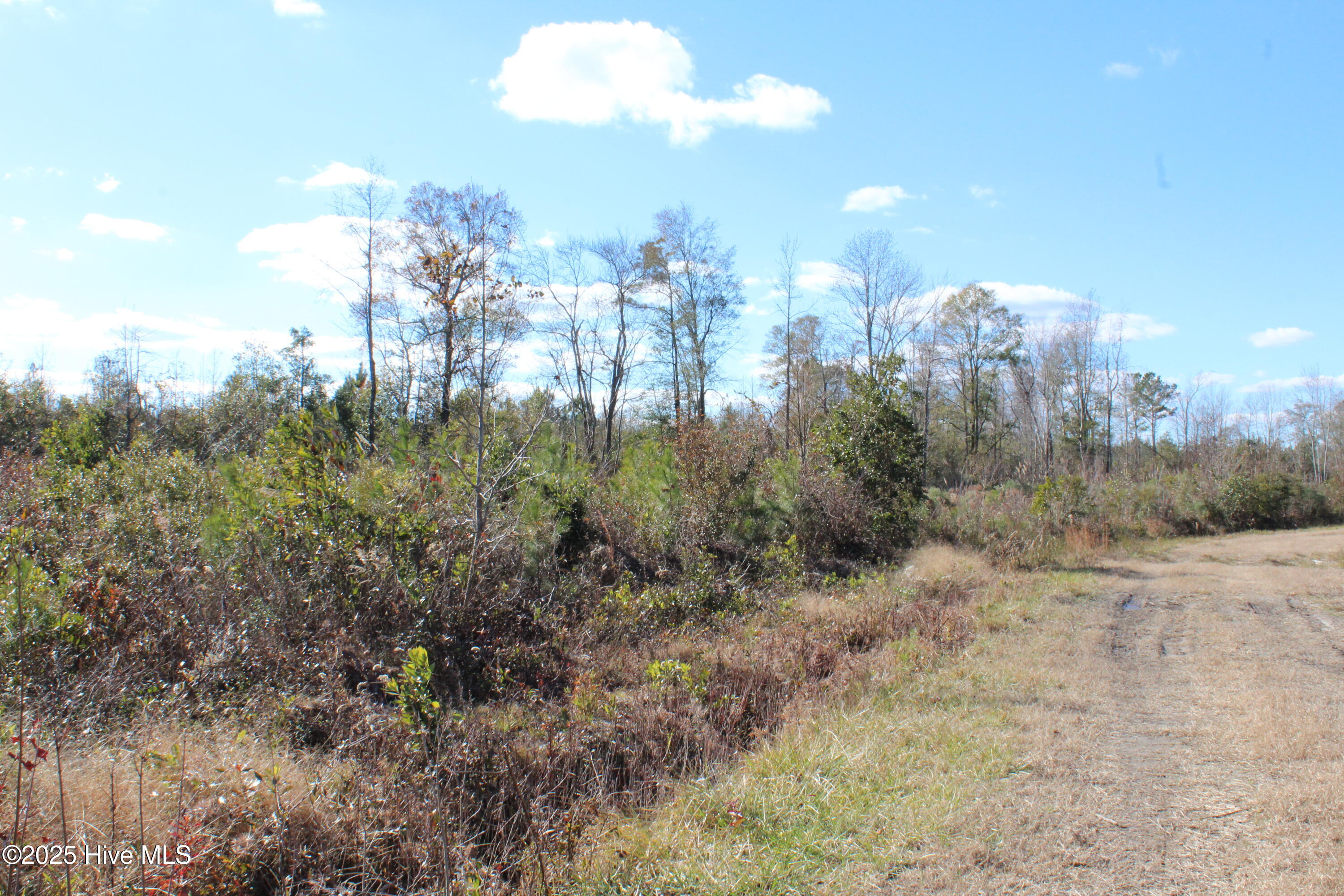 Lot 1 Richlands Road Trenton, NC 28585 - Photo 1 of 3 IMG_5301