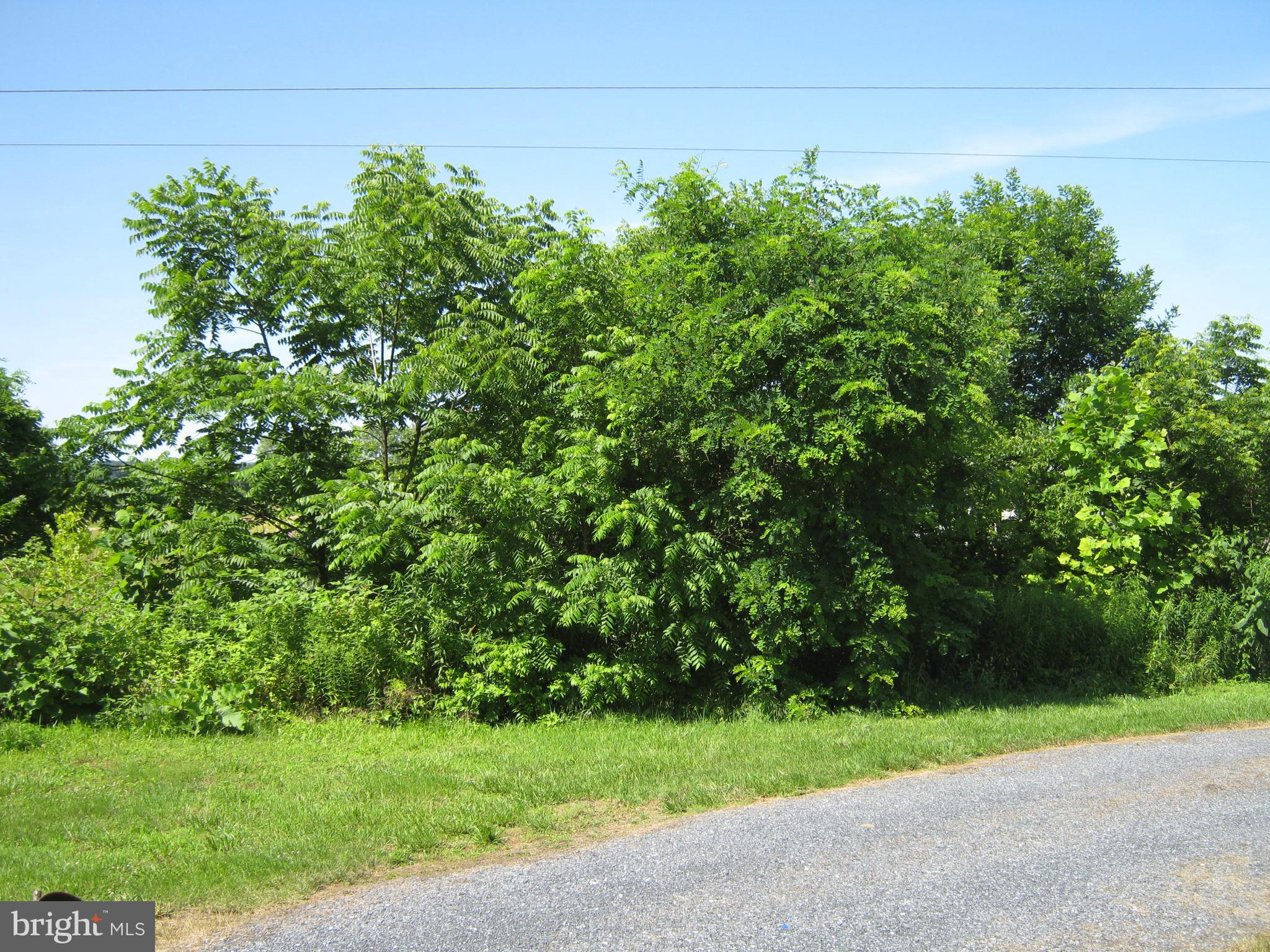 5605 Elizabethtown Road Palmyra, PA 17078 - Photo 42 of 53 Gallery Image 42