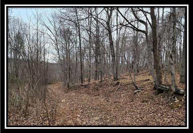 0 Black Run Road, Unit TRACT 8) Chillicothe, OH 45601 - Photo 6 of 47 image006