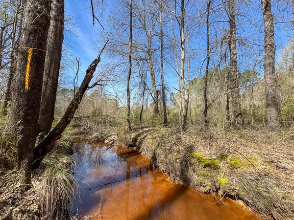 a view of outdoor space