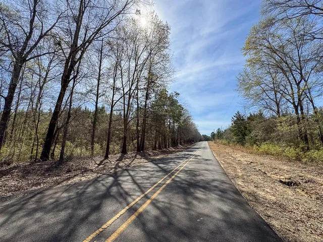 a view of a yard with trees