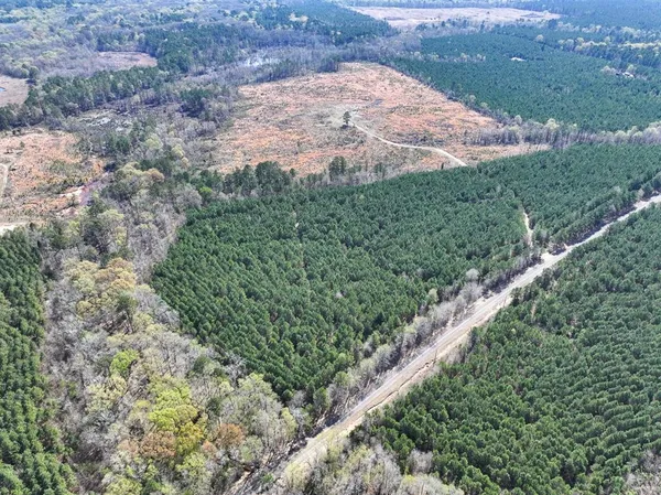 a view of a backyard of a house