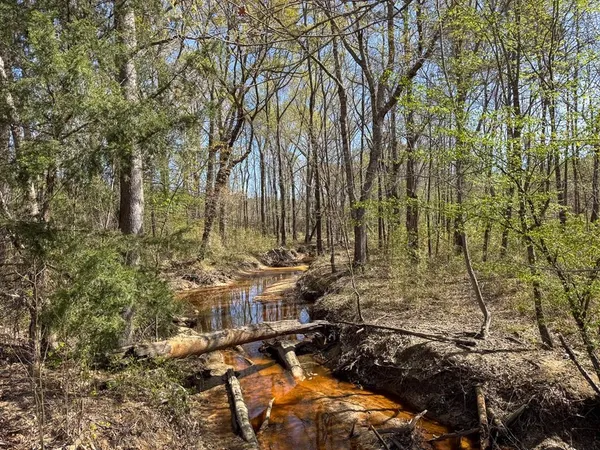 a view of outdoor space with lots of trees