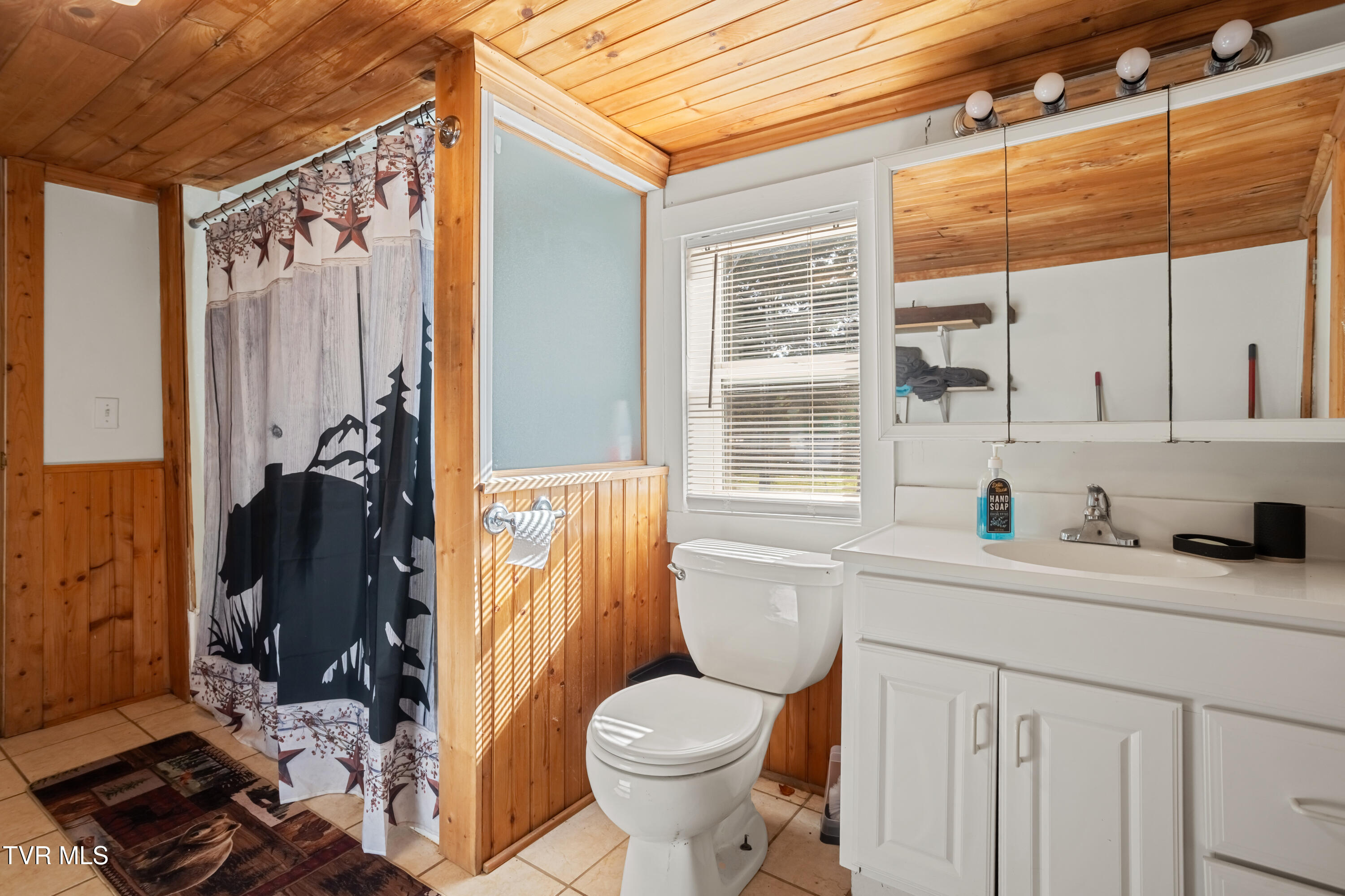 338 Whistlestop Road Damascus, VA 24236 - Photo 25 of 44 177A9983-HDR_1
