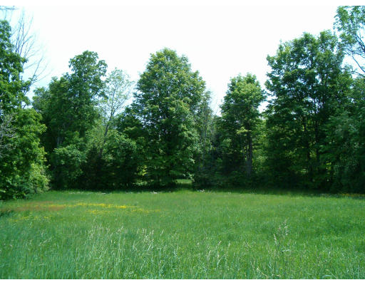111 Old Bay Road Belchertown, MA 01007 - Photo 5 of 5 Gallery Image 5