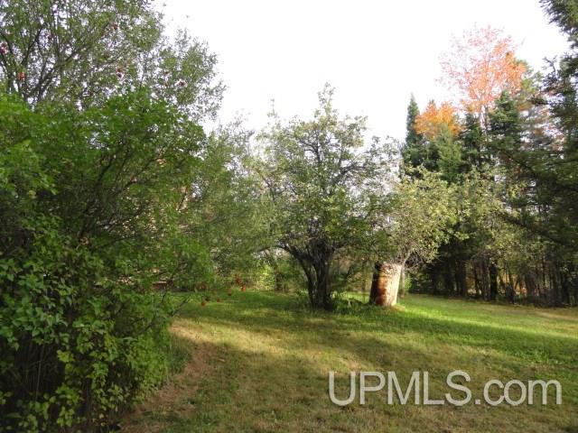 14966 2 Mile Road Bruce Crossing, MI 49912 - Photo 16 of 24