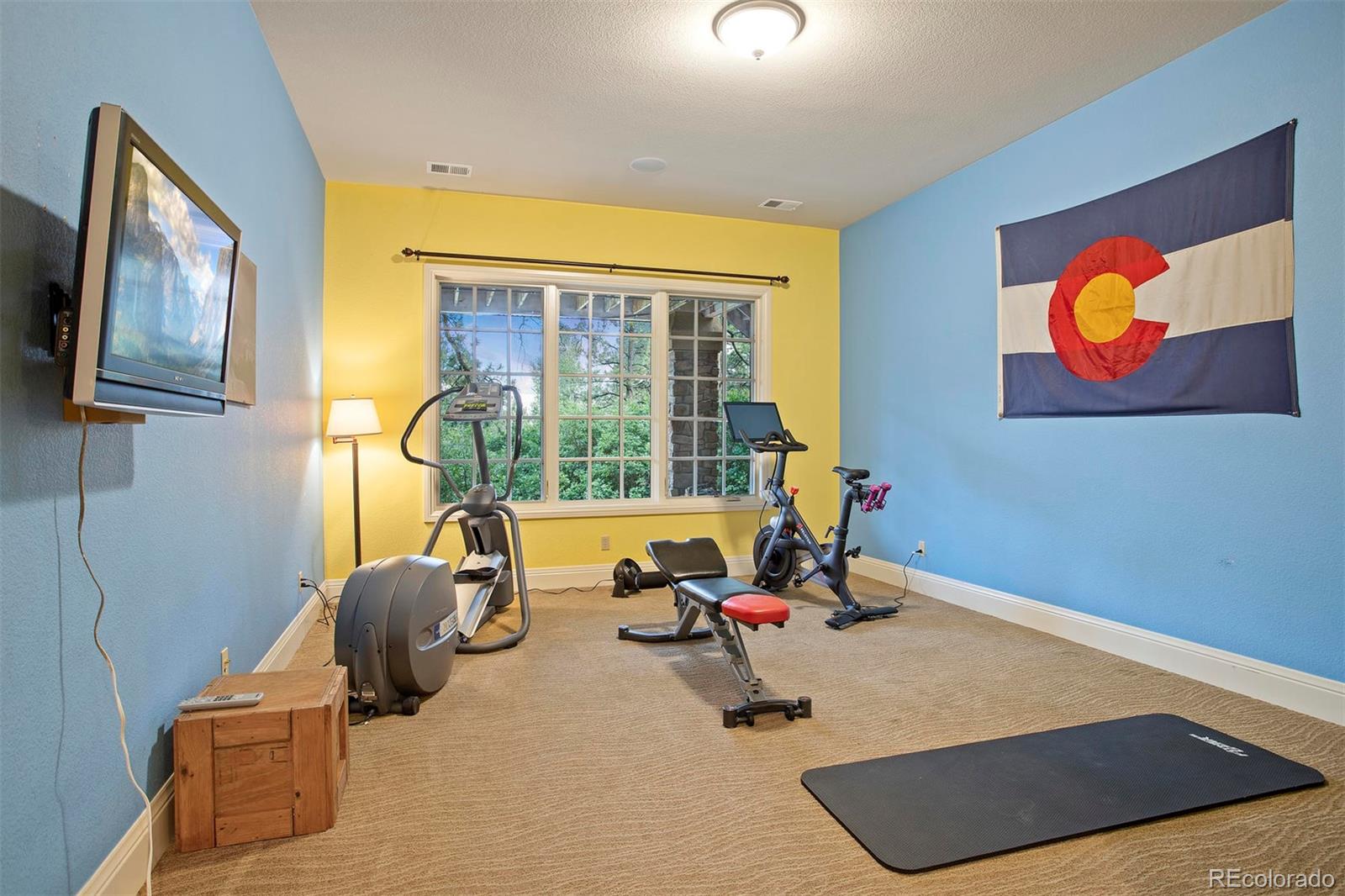 648 Ruby Trust Drive Castle Rock, CO 80108 - Photo 29 of 40 a room with gym equipment and a large window