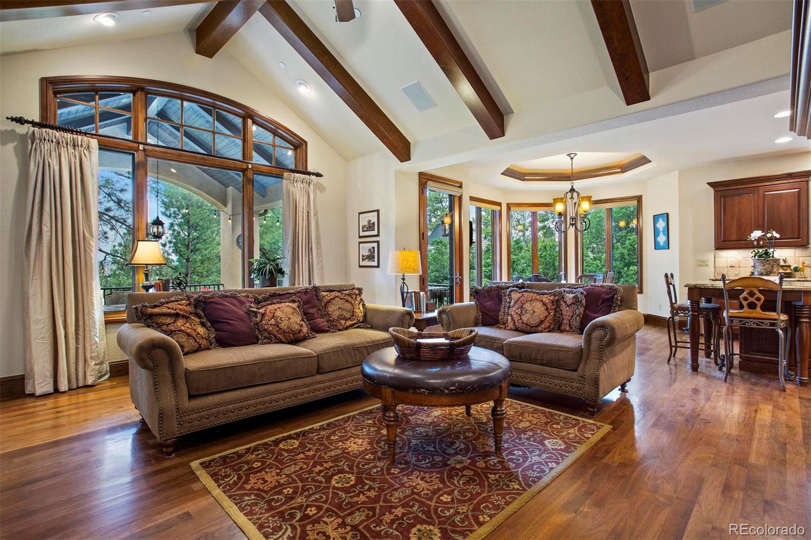 648 Ruby Trust Drive Castle Rock, CO 80108 - Photo 8 of 40 a living room with furniture and a large window