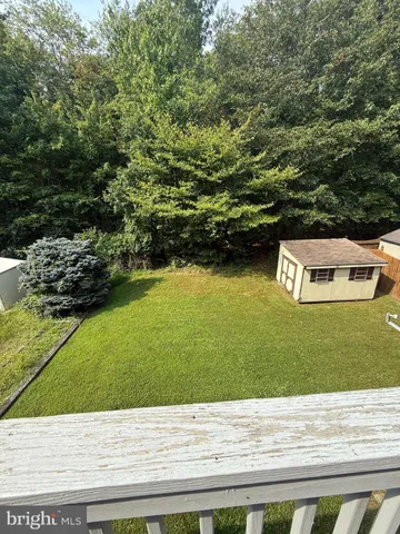 a picture of a field with plants and large trees