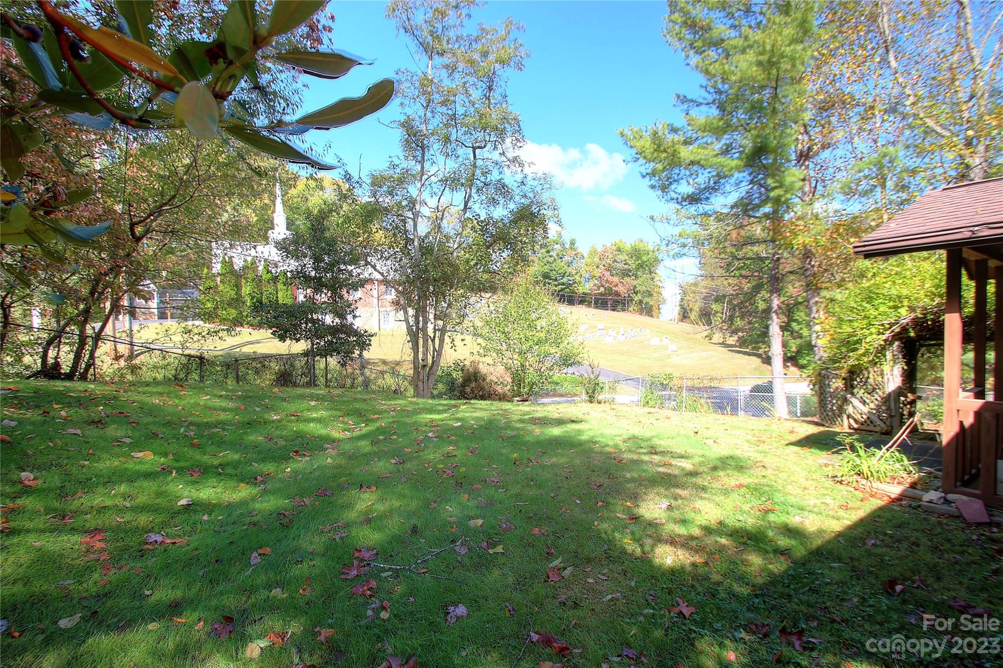 2872 Hyder Mountain Road Clyde, NC 28721 - Photo 20 of 29 a view of yard with tree and green space