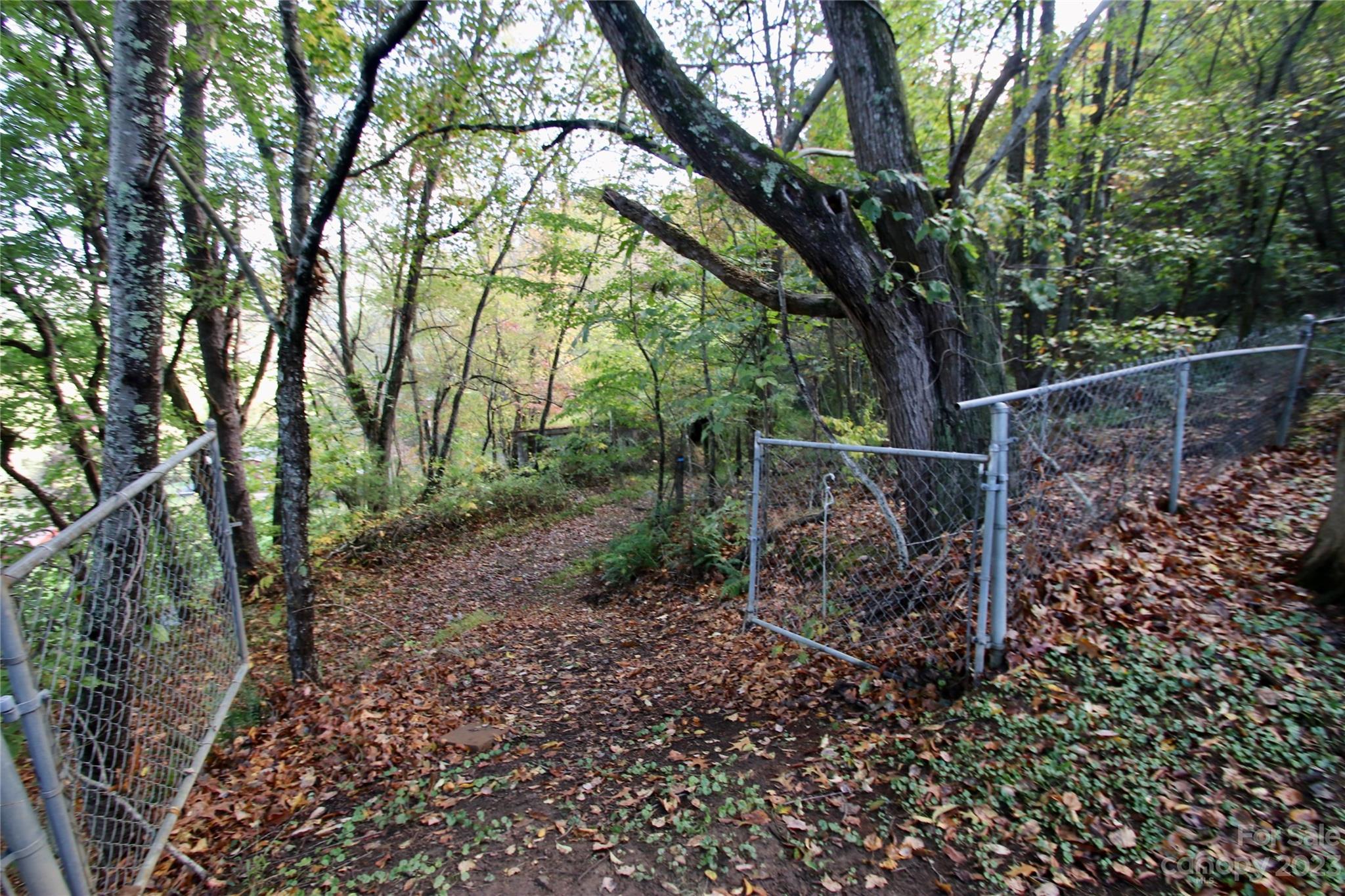 2872 Hyder Mountain Road Clyde, NC 28721 - Photo 21 of 29 a view of a yard with large trees