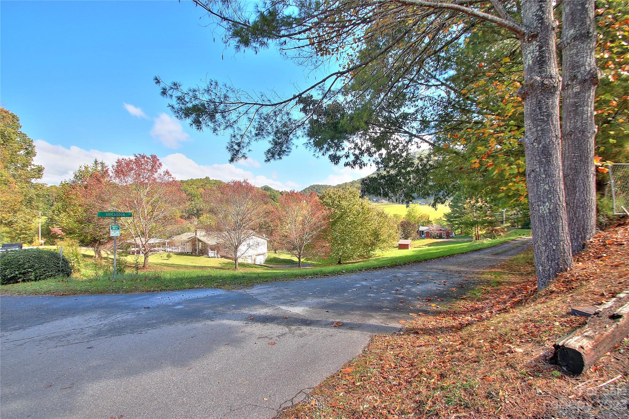 2872 Hyder Mountain Road Clyde, NC 28721 - Photo 22 of 29 a view of a yard with large trees