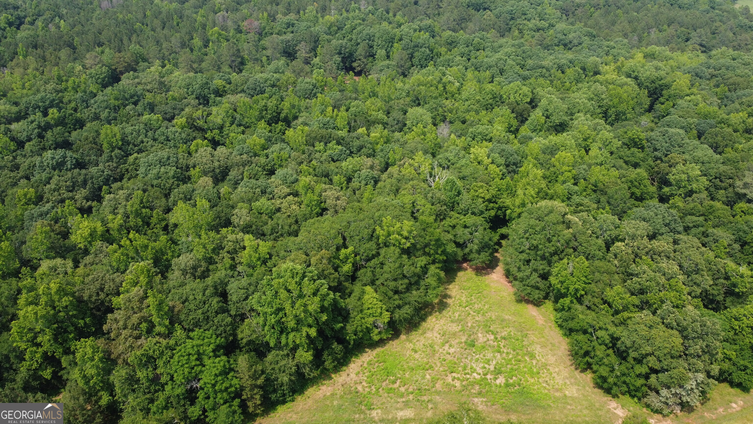 1520 Marshall Wilkes Road Watkinsville, GA 30677 - Photo 12 of 47 a view of a yard pathway