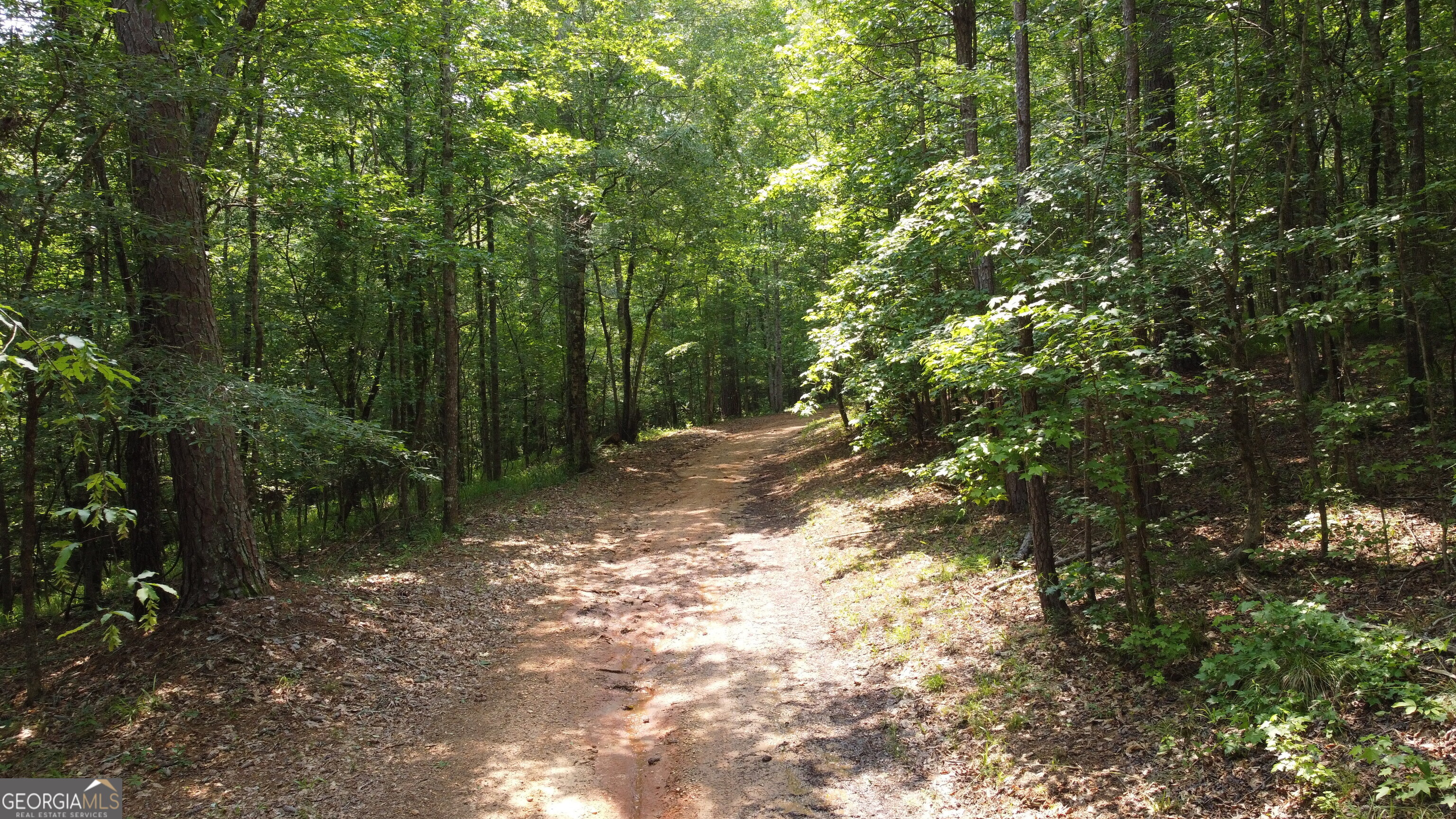 1520 Marshall Wilkes Road Watkinsville, GA 30677 - Photo 40 of 47 a backyard of a house with lots of green space