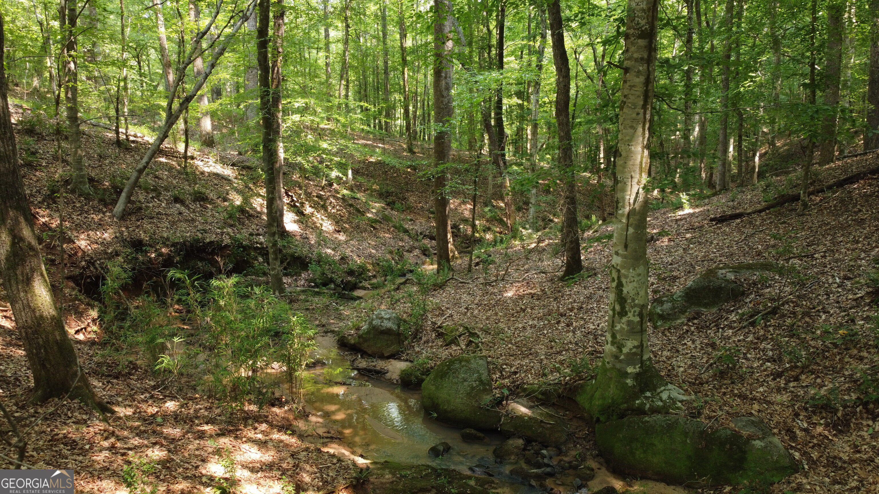 1520 Marshall Wilkes Road Watkinsville, GA 30677 - Photo 42 of 47 a view of a yard