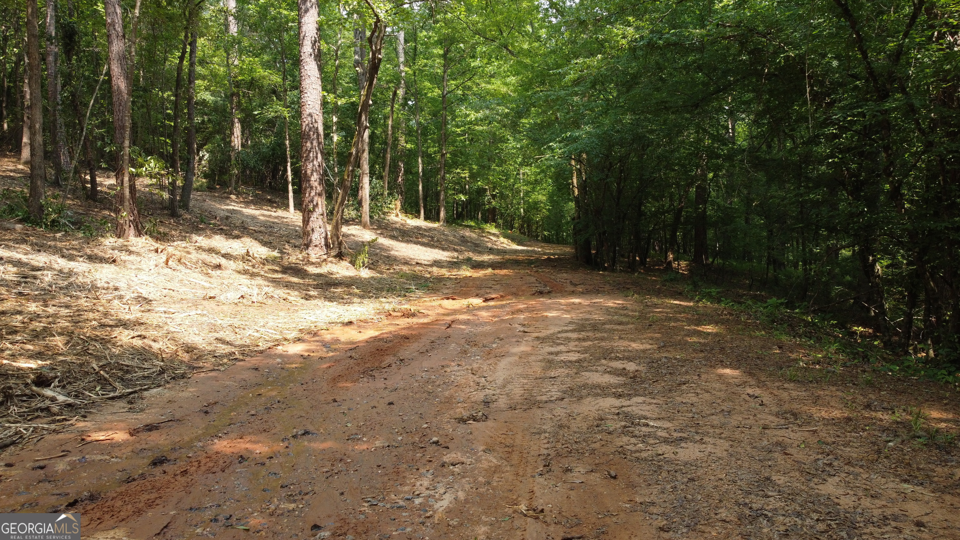 1520 Marshall Wilkes Road Watkinsville, GA 30677 - Photo 43 of 47 a view of a yard with trees