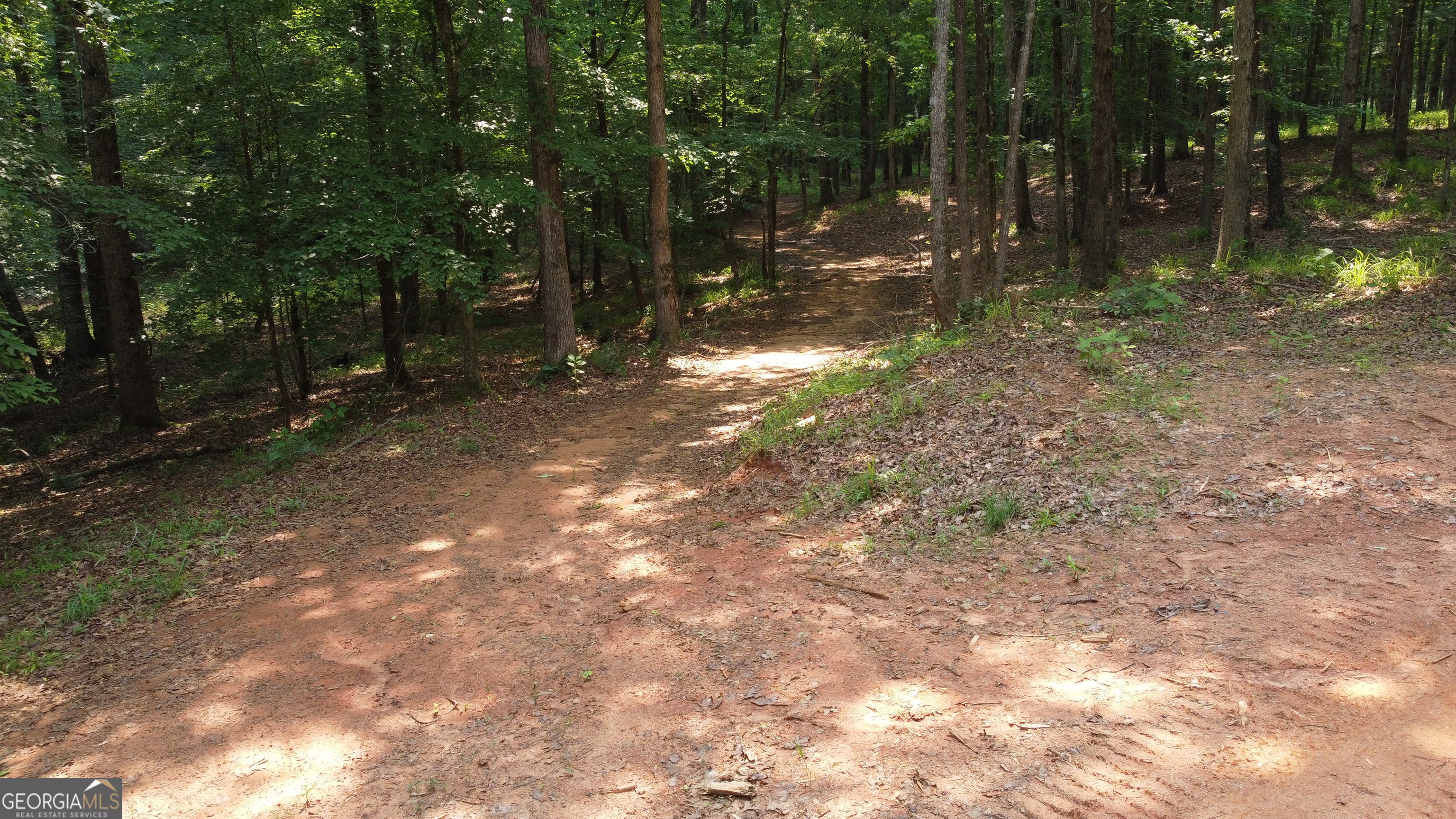 1520 Marshall Wilkes Road Watkinsville, GA 30677 - Photo 44 of 47 a view of a tree in the middle of a yard