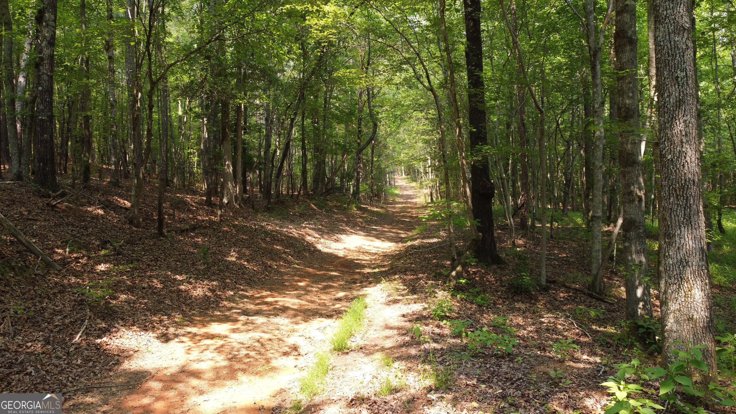 1520 Marshall Wilkes Road Watkinsville, GA 30677 - Photo 46 of 47 a view of backyard with green space