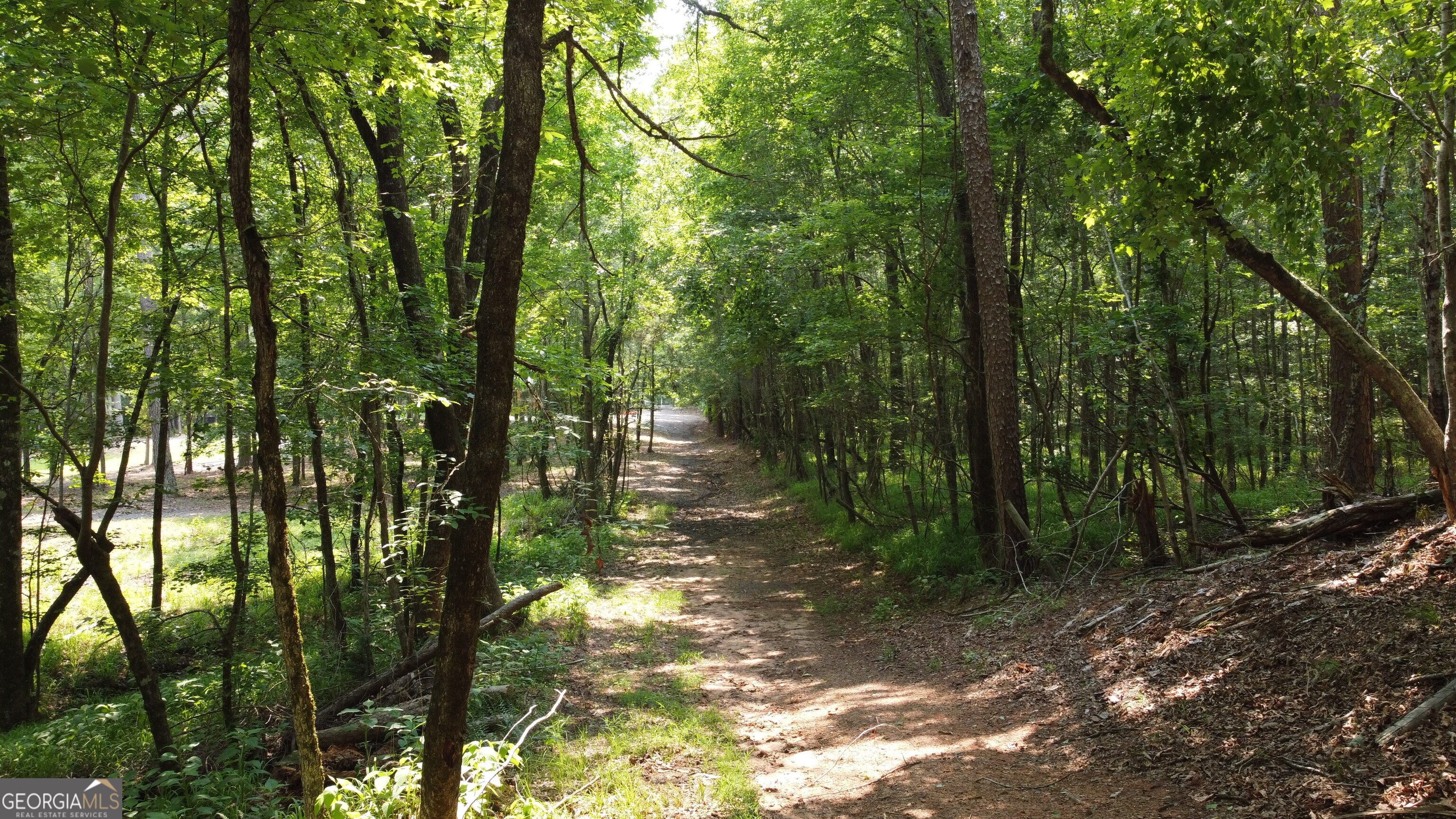 1520 Marshall Wilkes Road Watkinsville, GA 30677 - Photo 47 of 47 a backyard of a house with lots of green space