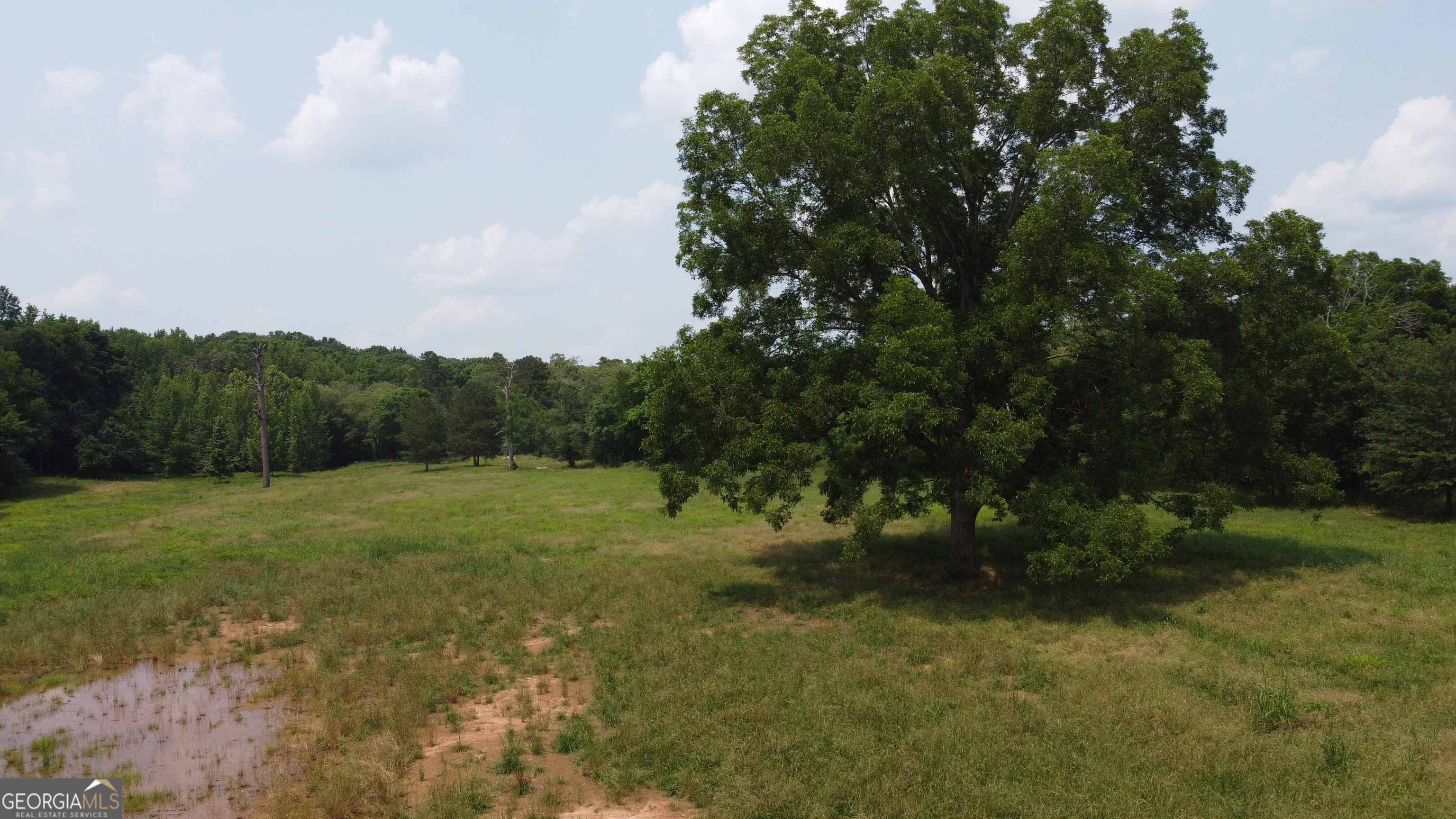 1520 Marshall Wilkes Road Watkinsville, GA 30677 - Photo 9 of 47 a view of outdoor space and yard