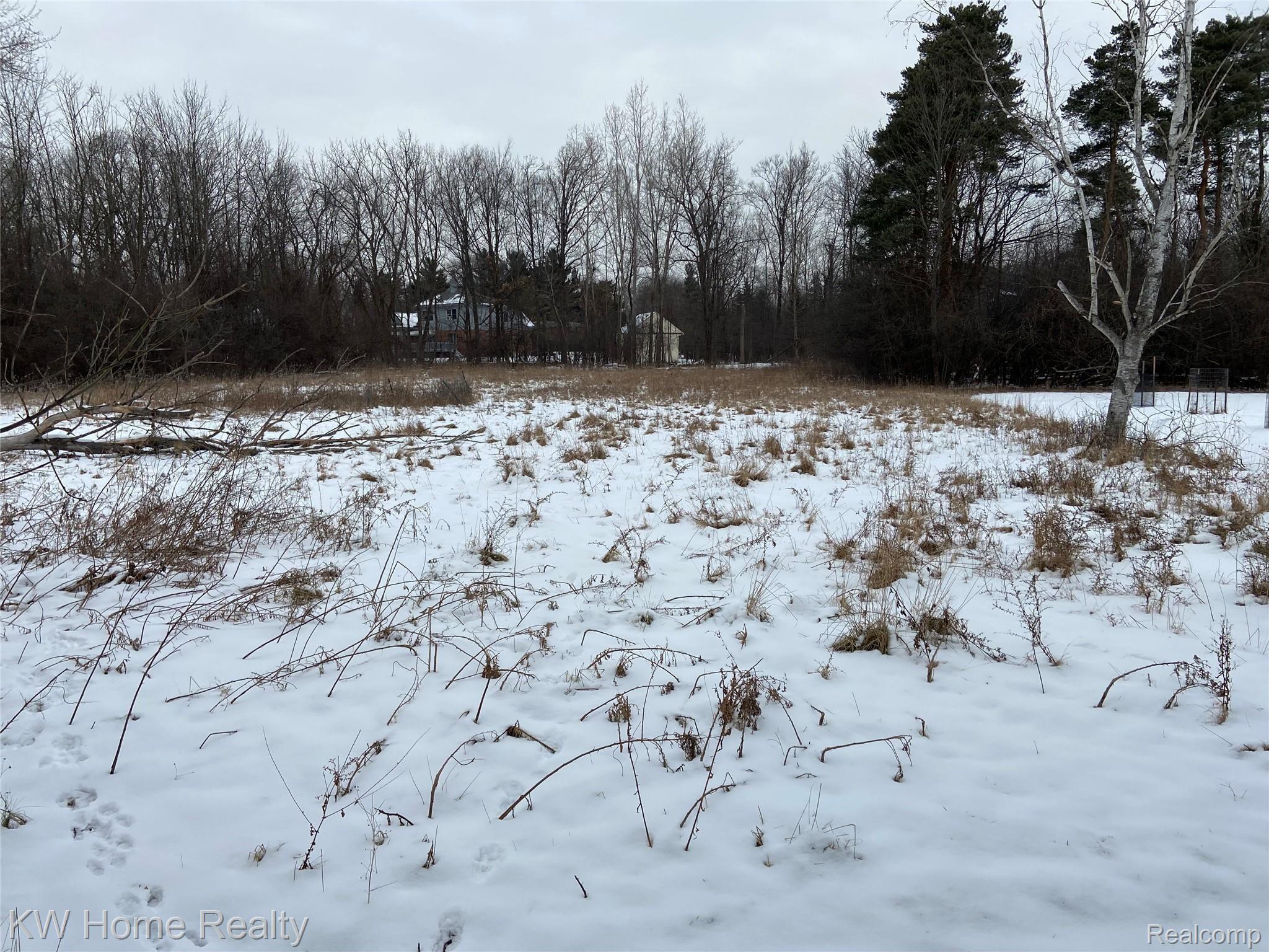 25422 Farmbrook Road Southfield, MI 48034 - Photo 24 of 29 REAR YARD
