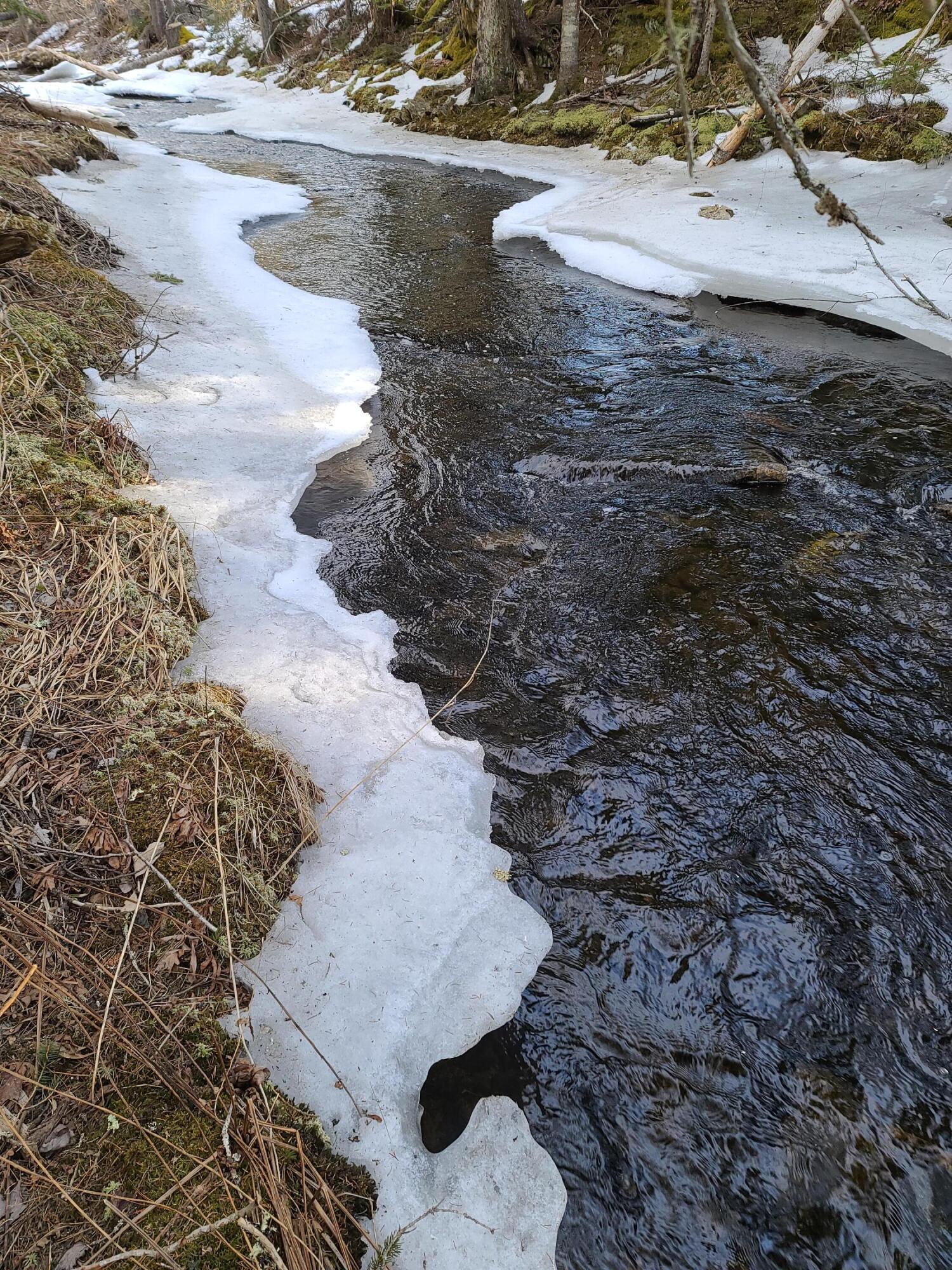 0 Old County Road Searsport, ME 04974 - Photo 8 of 21 2021-03-19 08.30.08