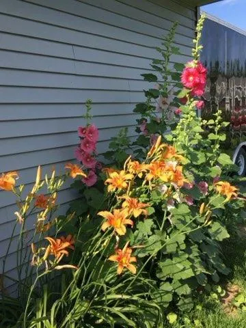 $399,900 | 11576 Bristol Road, Chisago City, MN 55013