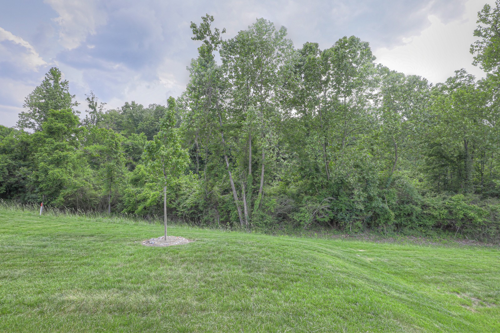 7417 Blue Gable Road Hermitage, TN 37076 - Photo 41 of 48 Gallery Image 41