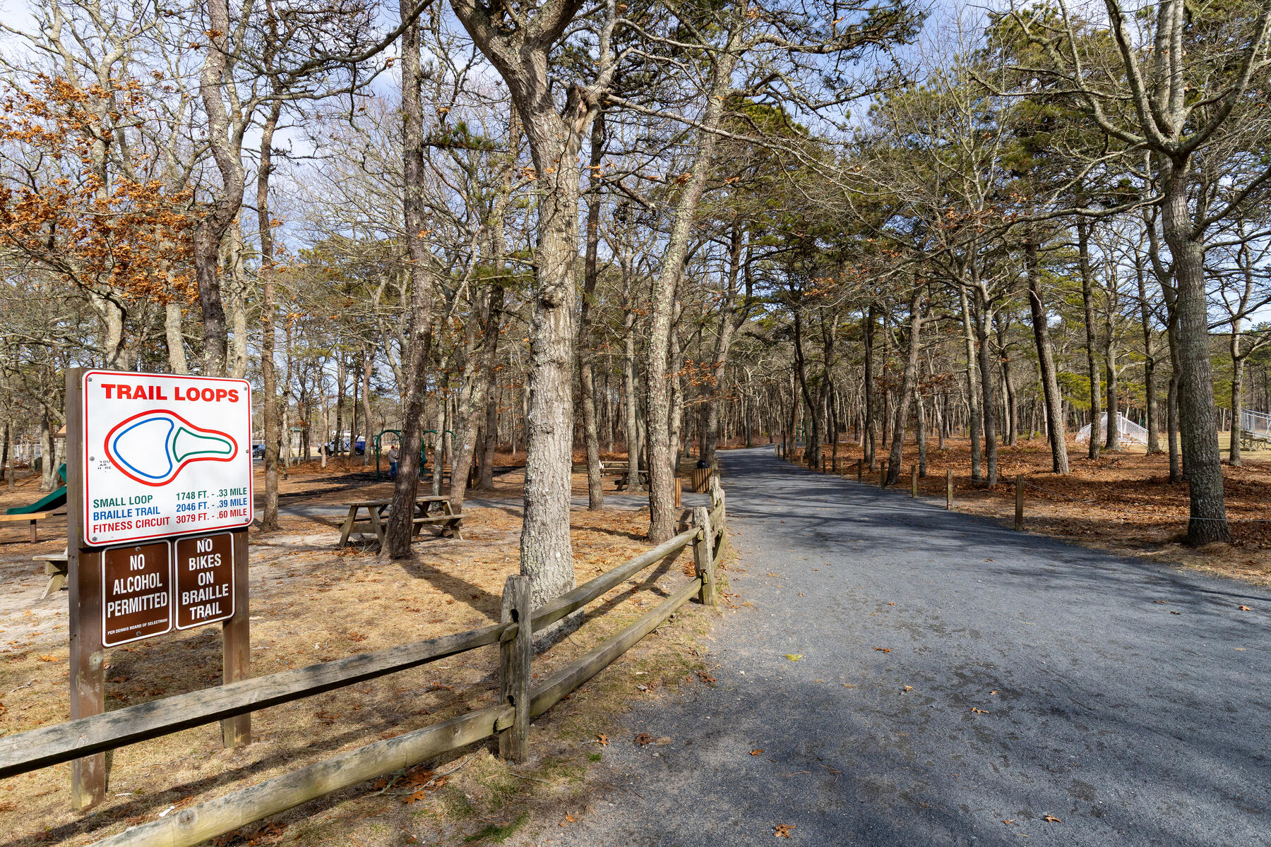 7 Saga Road South Dennis, MA 02660 - Photo 39 of 41 7 Saga Rd dennis-8