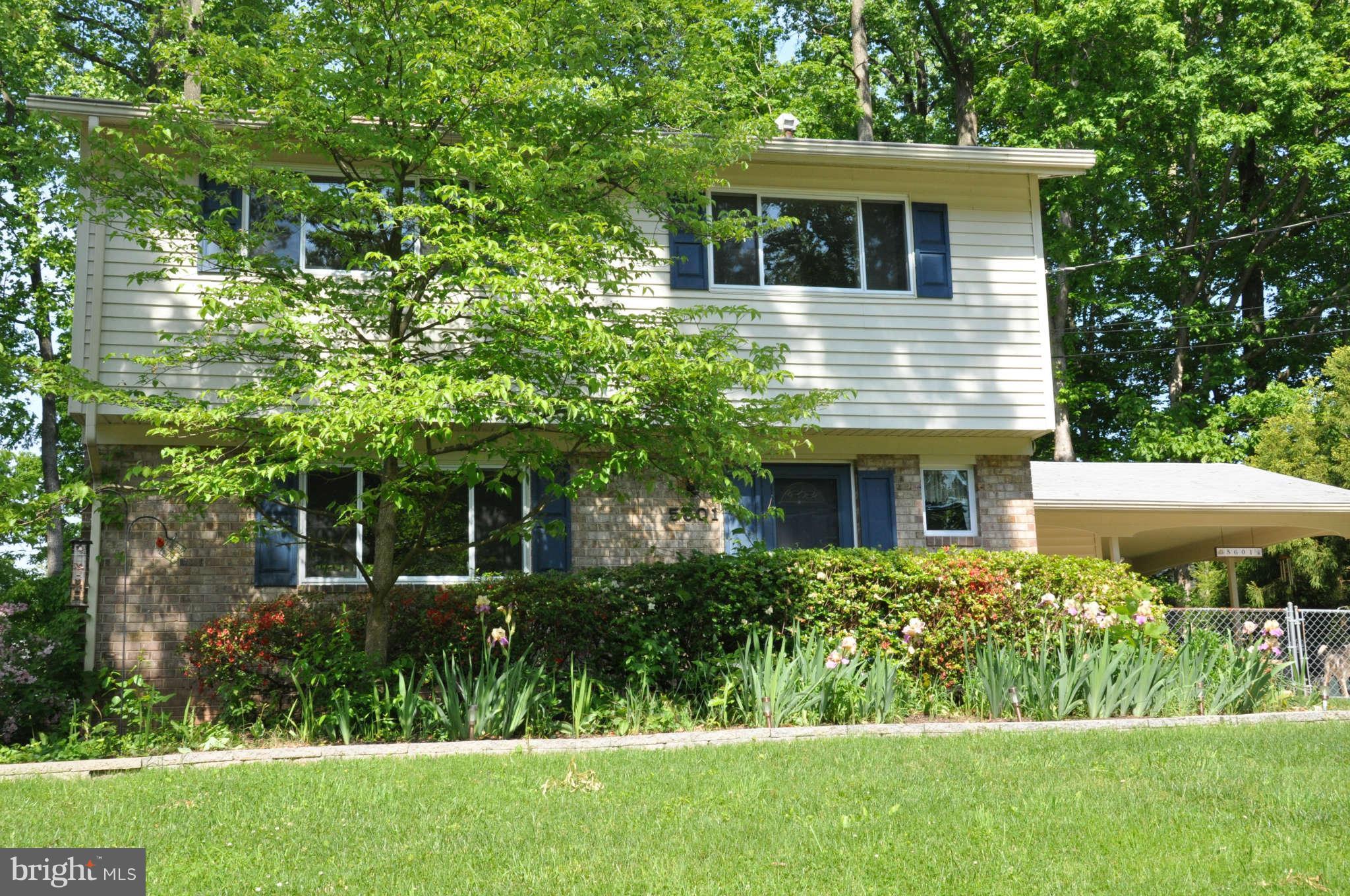 5601 Ventnor Lane Springfield, VA 22151 - Photo 1 of 20 Front of House