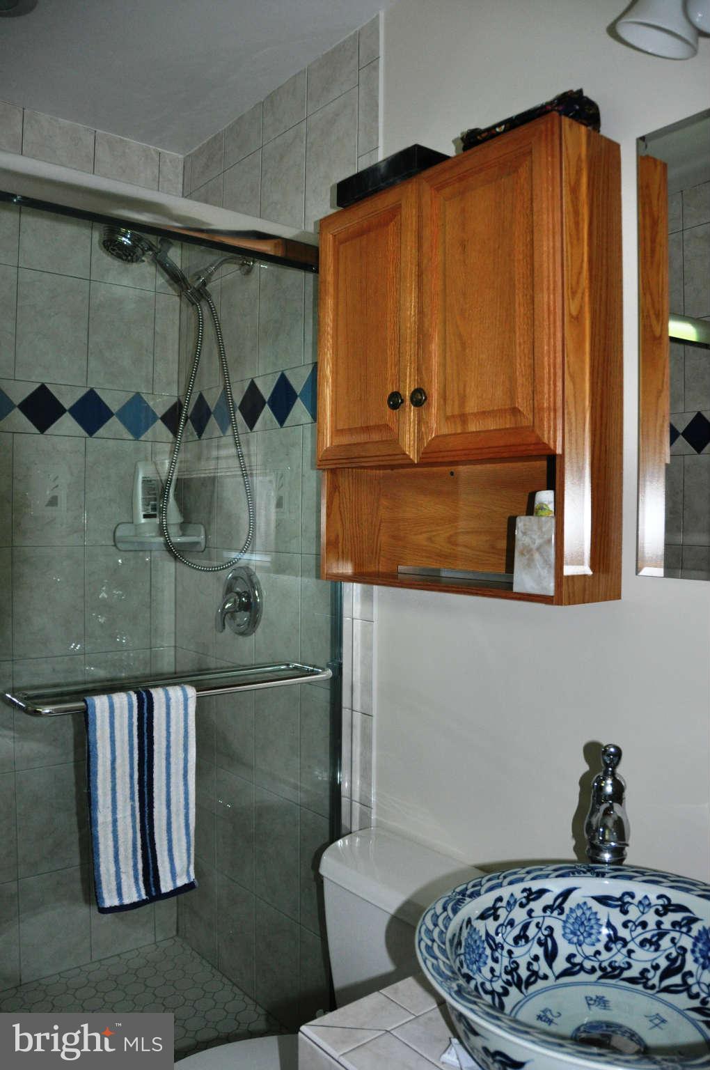 5601 Ventnor Lane Springfield, VA 22151 - Photo 13 of 20 Master Bath