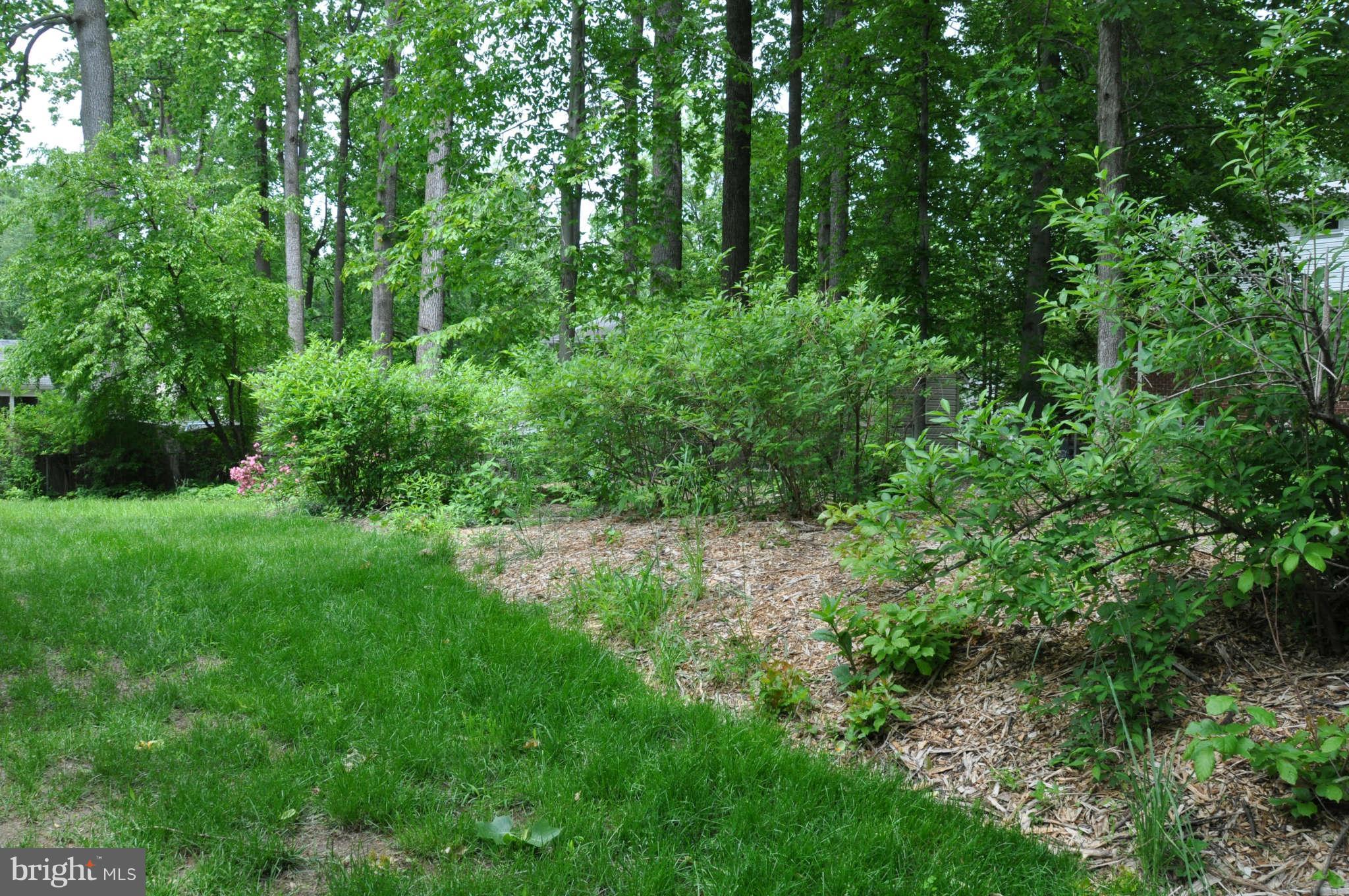 5601 Ventnor Lane Springfield, VA 22151 - Photo 18 of 20 Fully Fenced-in Back Yard