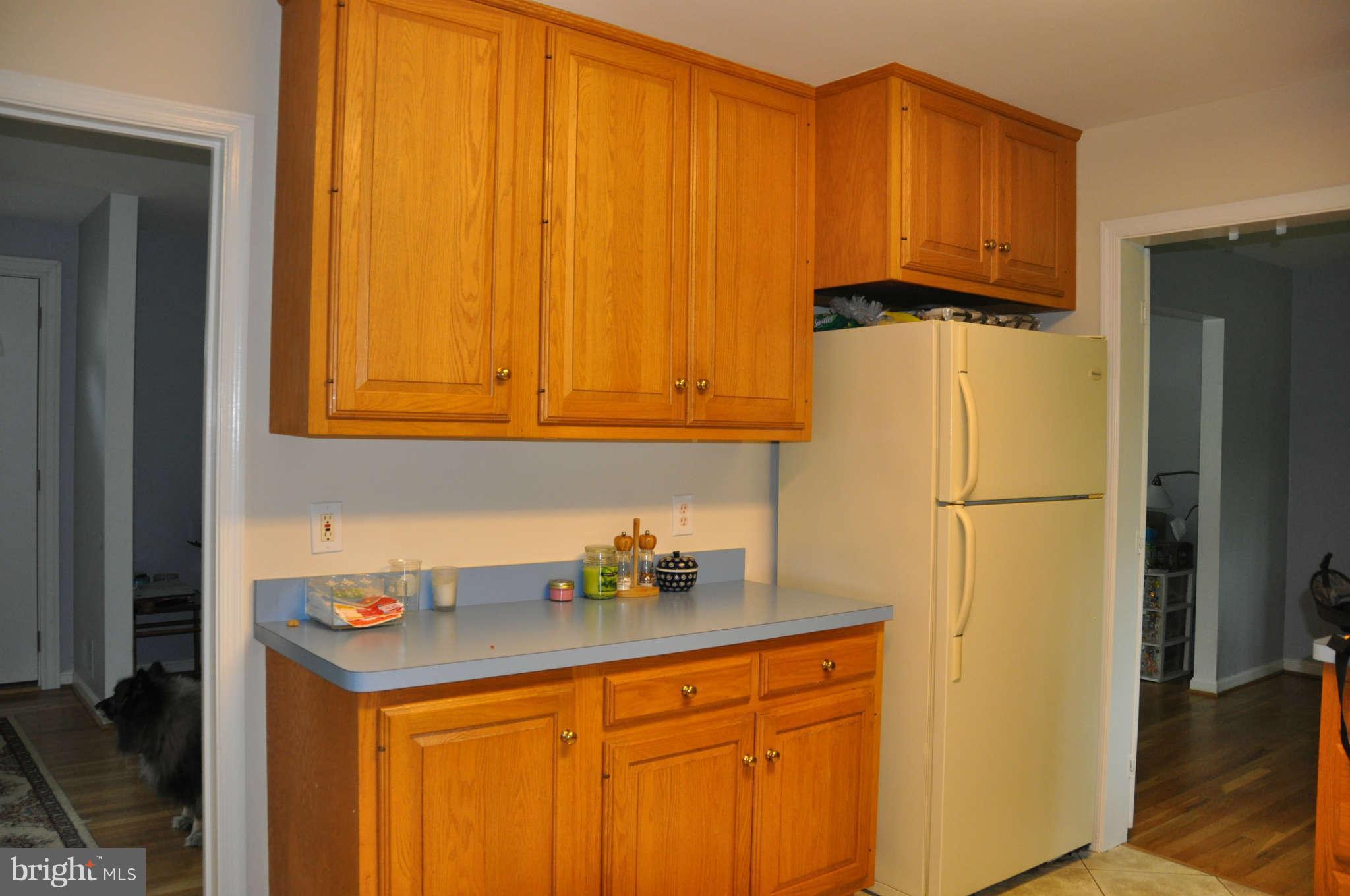 5601 Ventnor Lane Springfield, VA 22151 - Photo 5 of 20 Completely Remodeled Kitchen