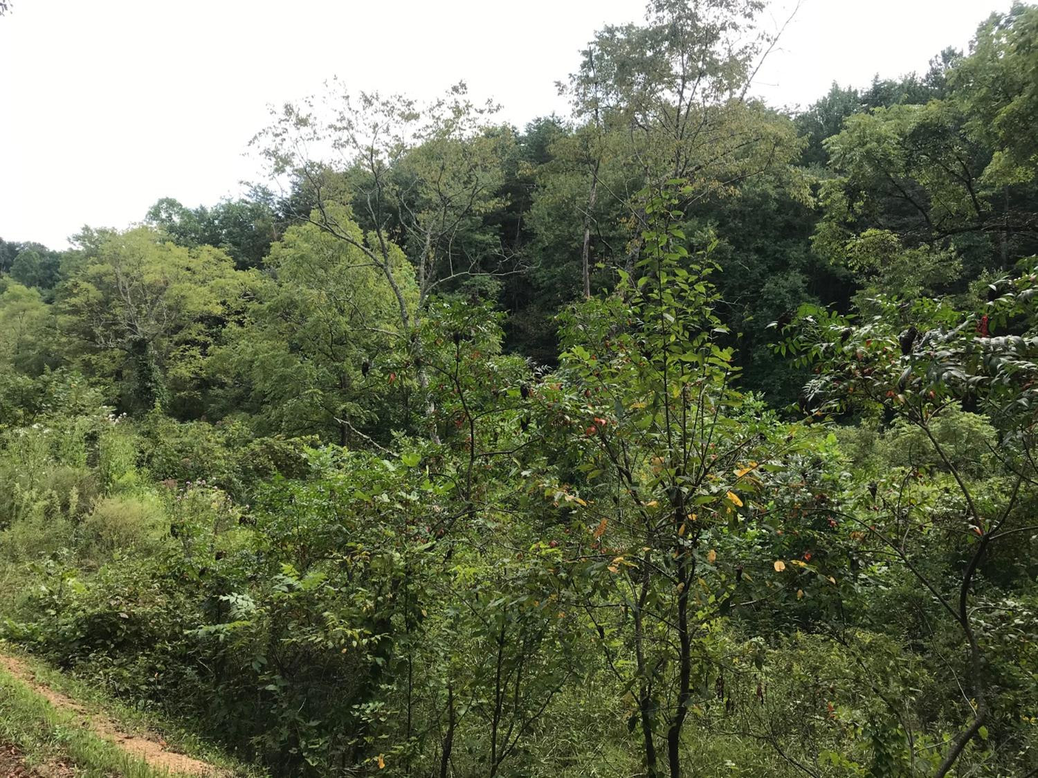 9999 Fence Road London, KY 40741 - Photo 10 of 12 Photo 10