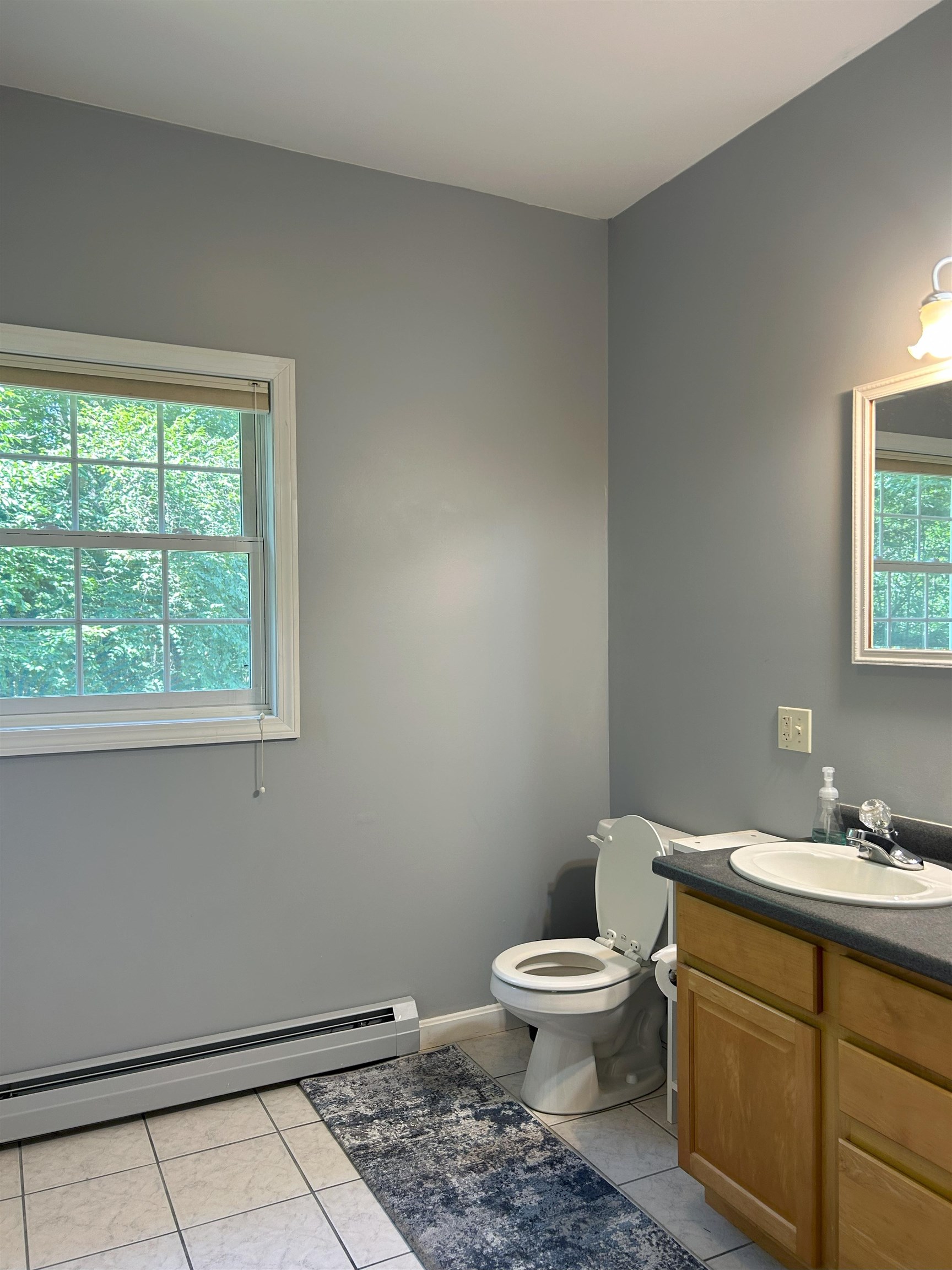 250 Grapevine Road Dunbarton, NH 03046 - Photo 32 of 60