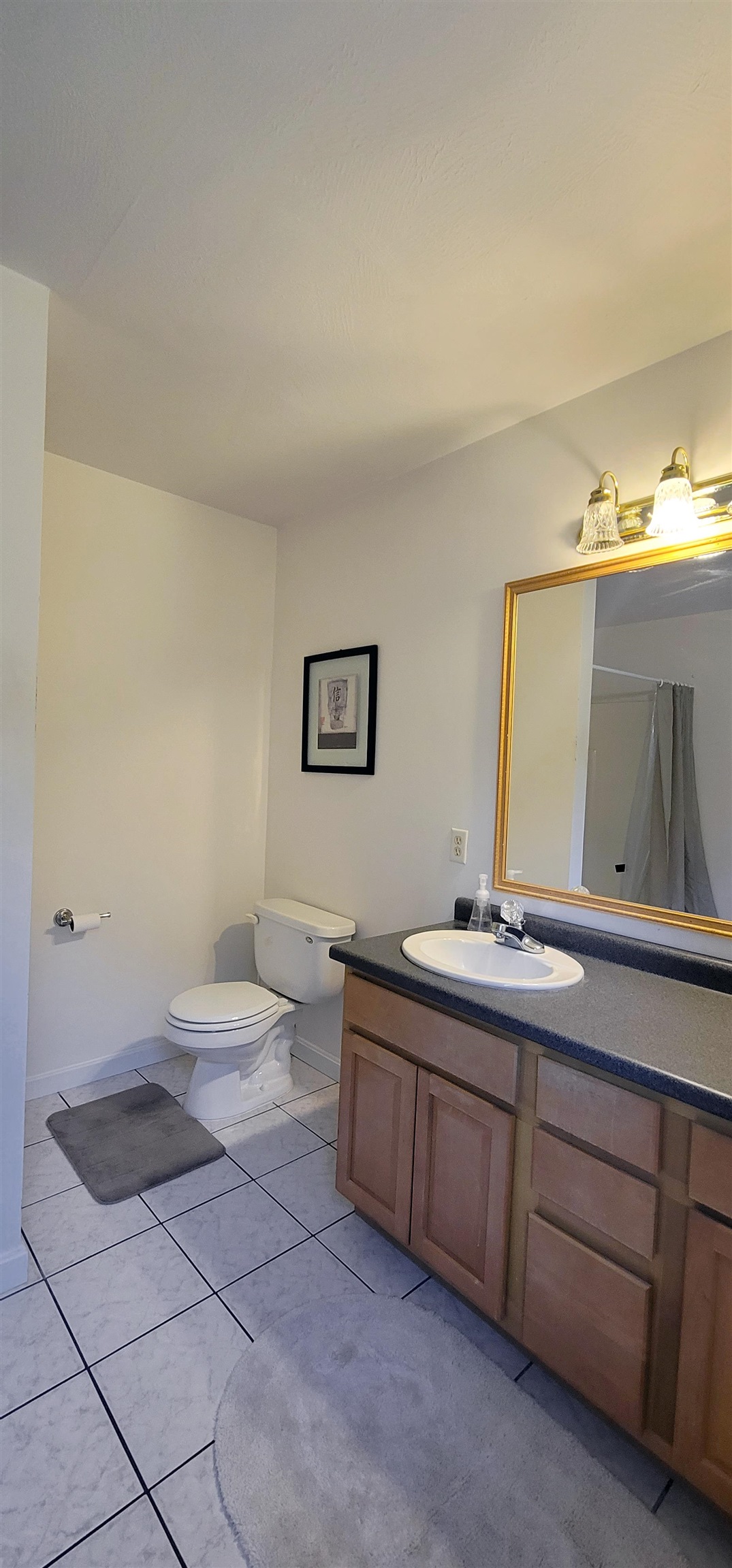250 Grapevine Road Dunbarton, NH 03046 - Photo 53 of 60
