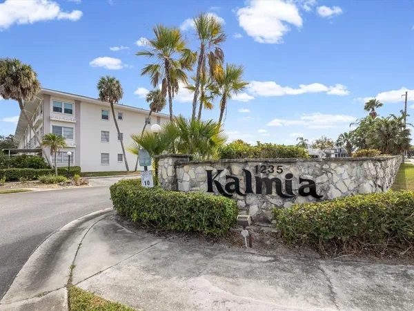 a view of a house with a yard and potted plants
