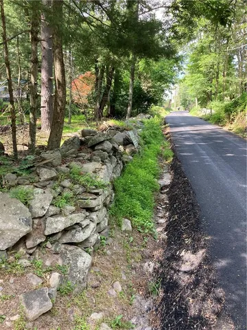 a view of a yard with plants and a large tree