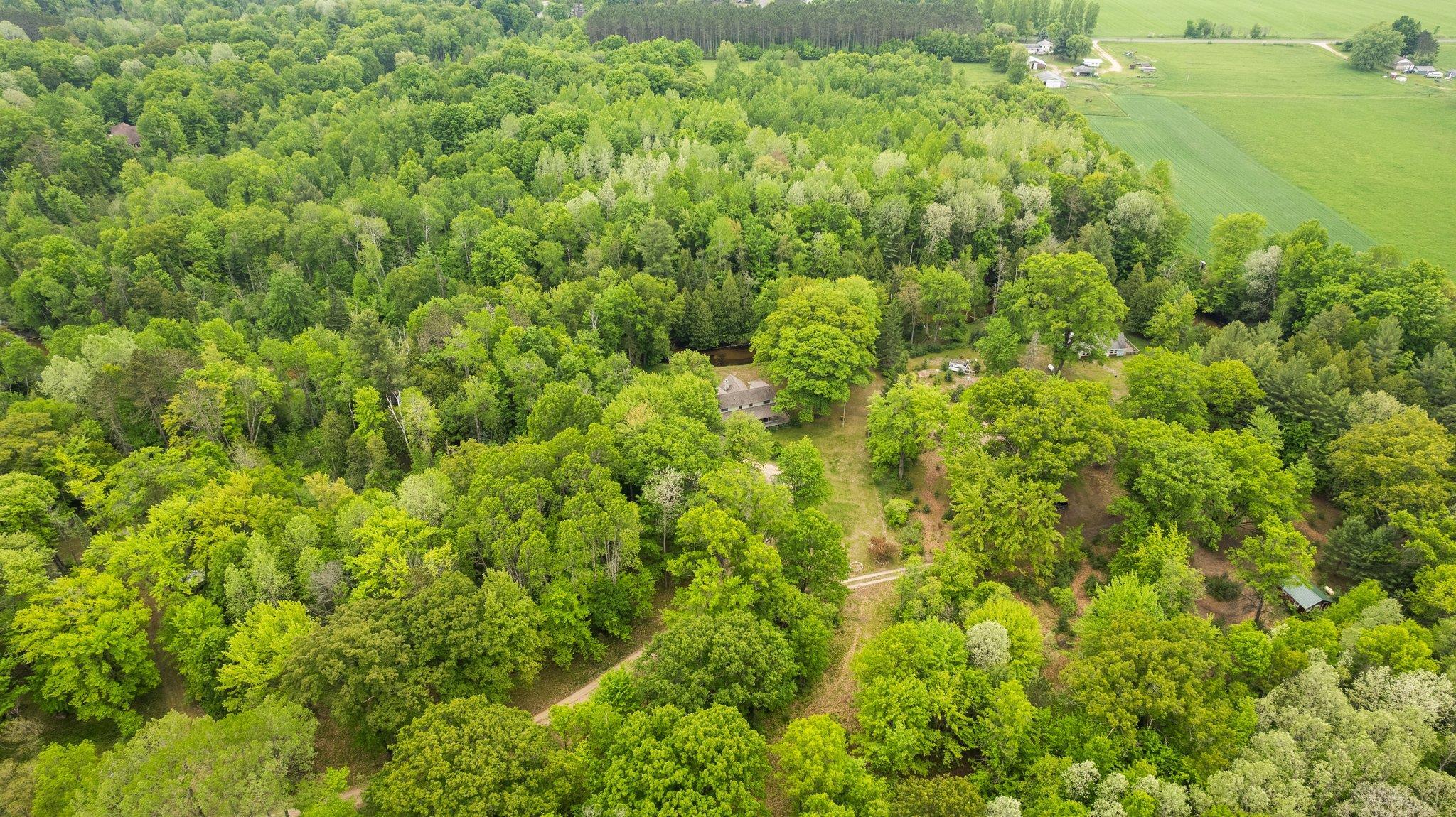 8415 West Workman Road Lake City, MI 49651 - Photo 75 of 83