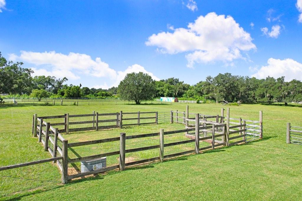 13221 Tom Gallagher Road Dover, FL 33527 - Photo 51 of 80 Gallery Image 51