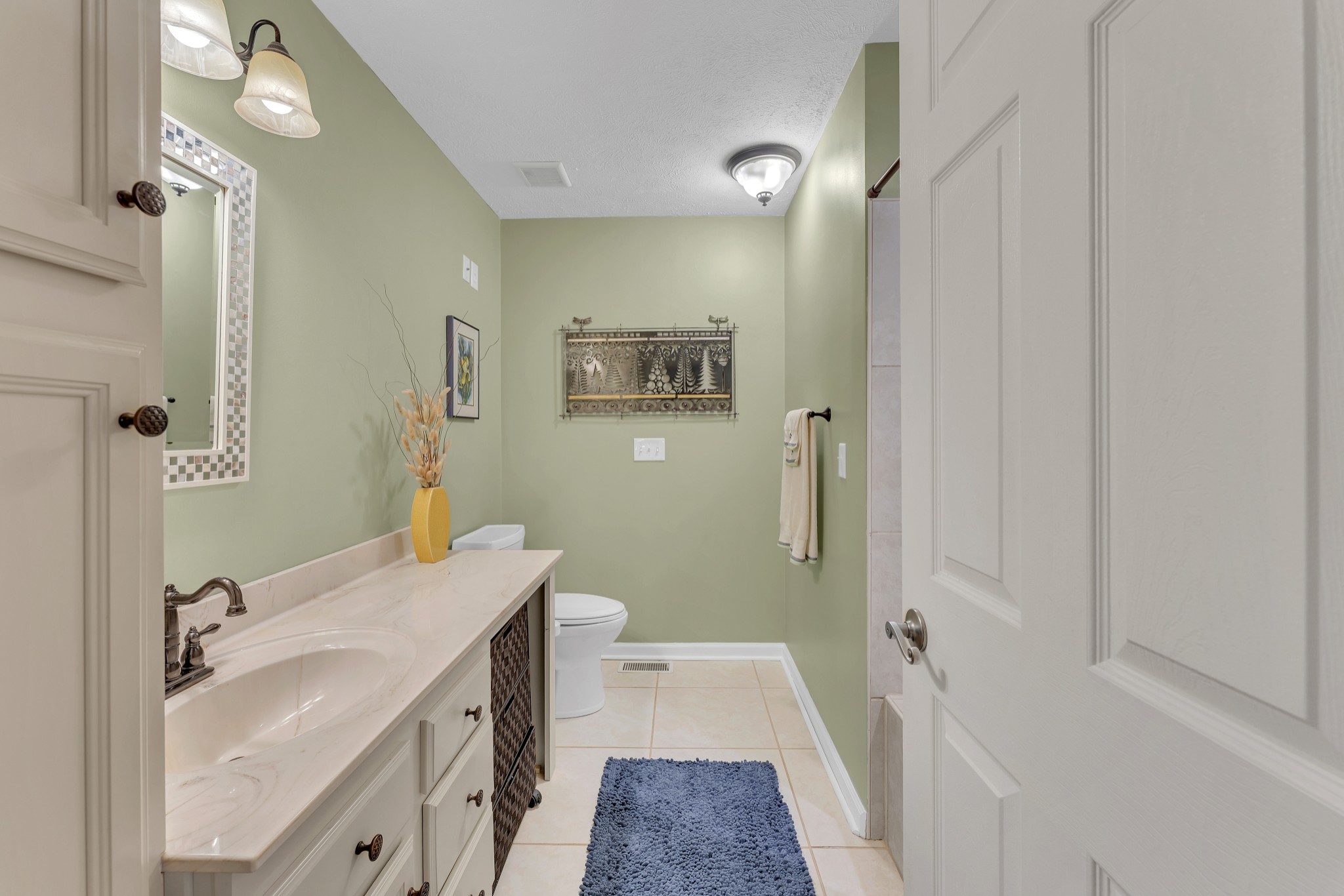1475 Petty Road White Bluff, TN 37187 - Photo 23 of 55 a bathroom with a sink a mirror and a shower