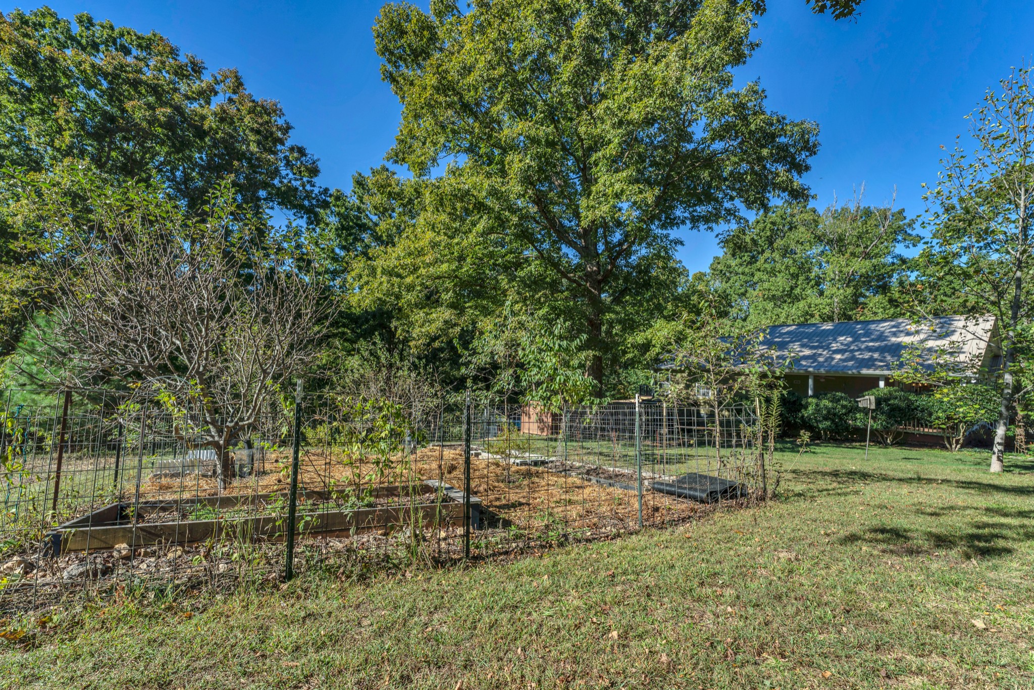 1475 Petty Road White Bluff, TN 37187 - Photo 45 of 55 a view of a park