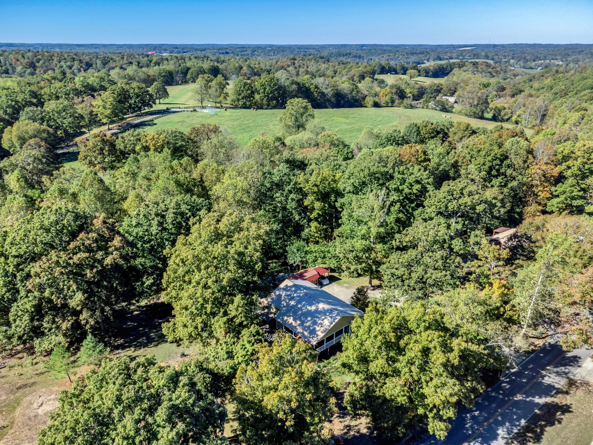 1475 Petty Road White Bluff, TN 37187 - Photo 48 of 55 a view of a lush green forest with lots of trees