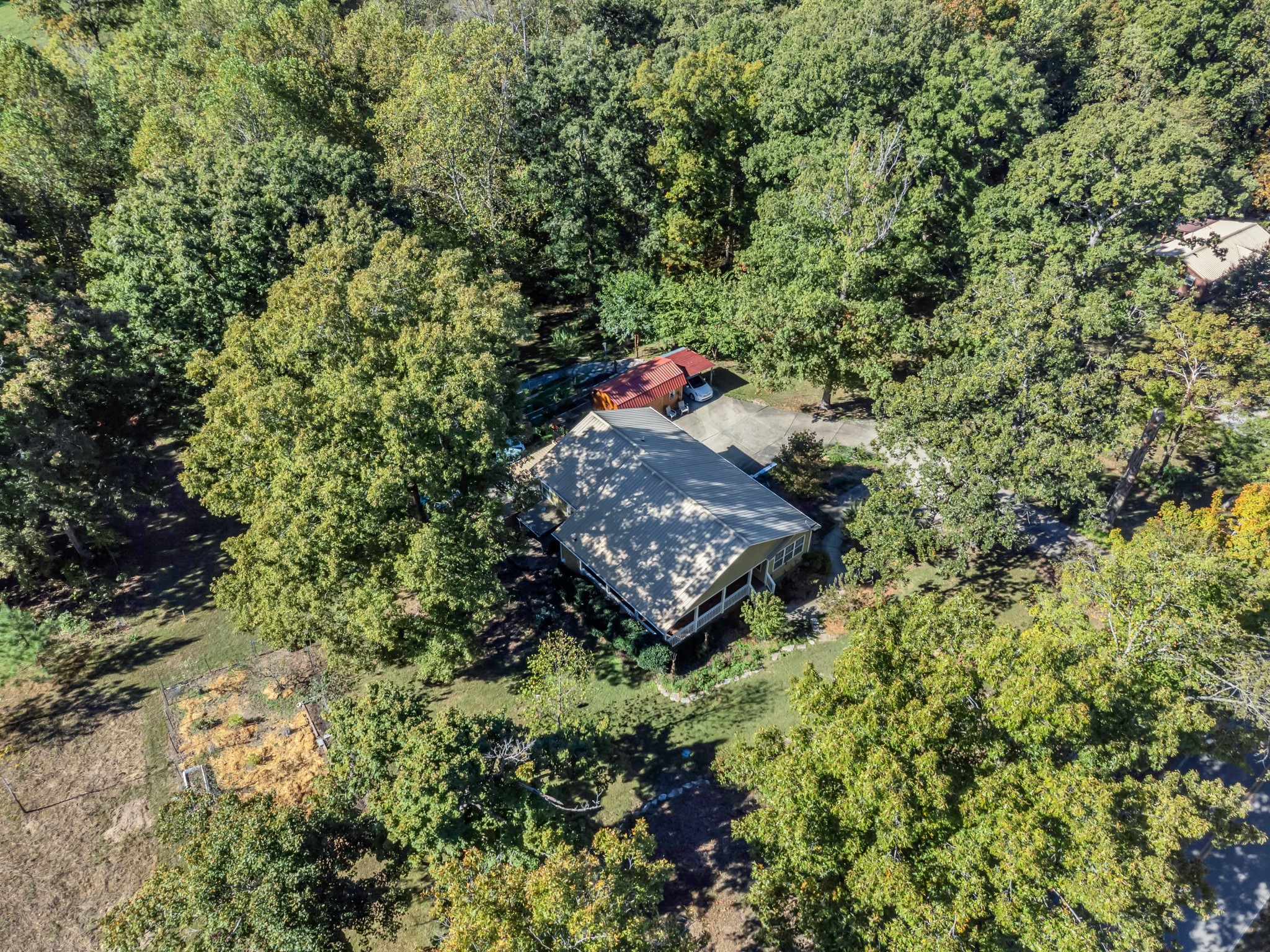 1475 Petty Road White Bluff, TN 37187 - Photo 51 of 55 a view of a tree in a yard