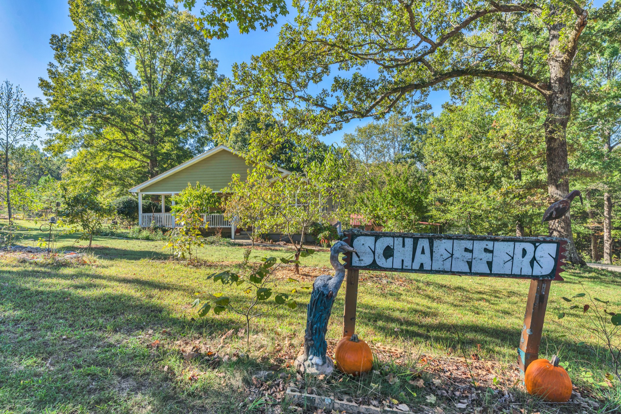 1475 Petty Road White Bluff, TN 37187 - Photo 53 of 55 a view of a back yard