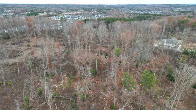 a view of a lake with a forest