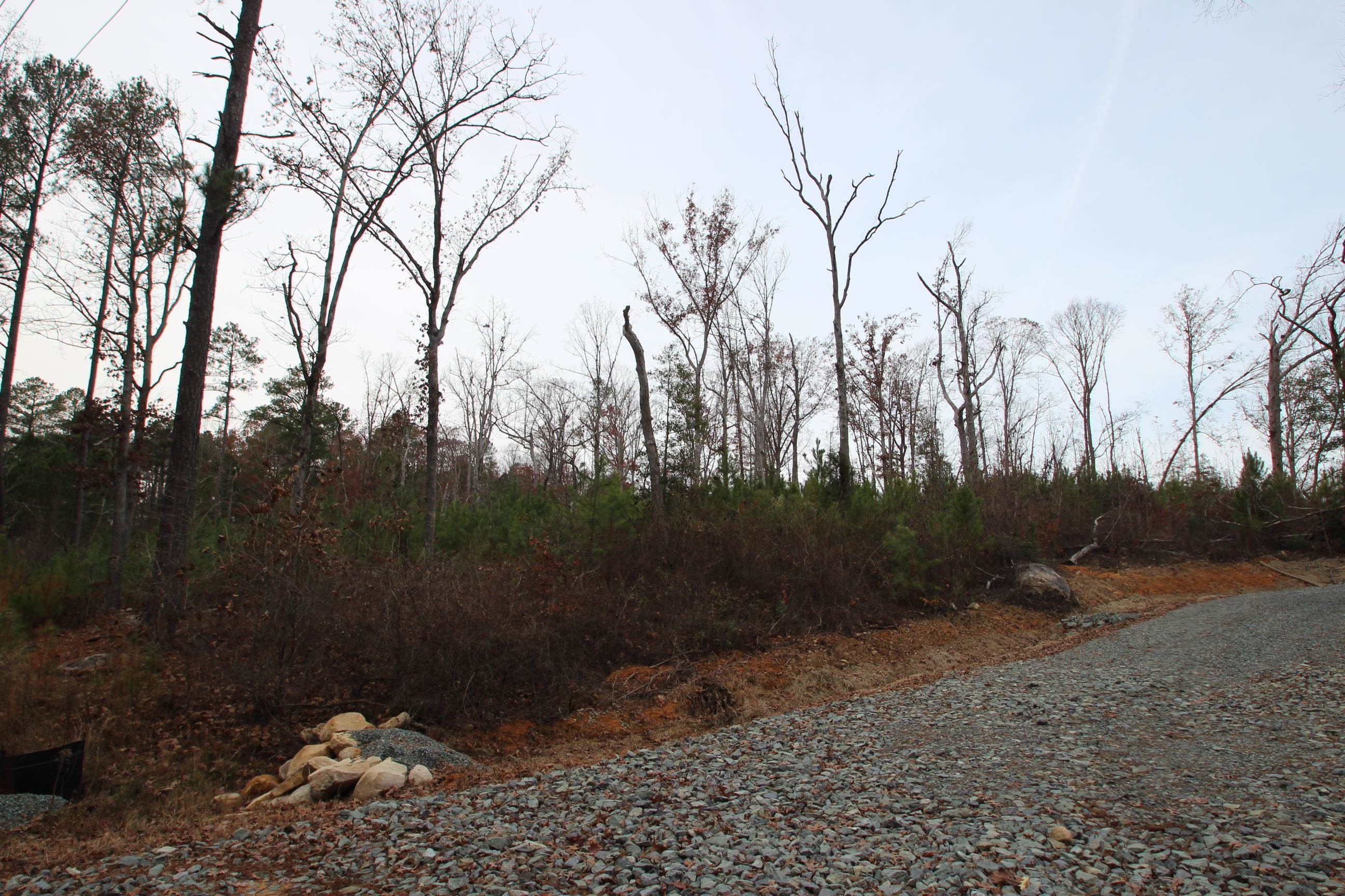 78 Scott Ridge Drive Pittsboro, NC 27312 - Photo 19 of 22 a view of a backyard