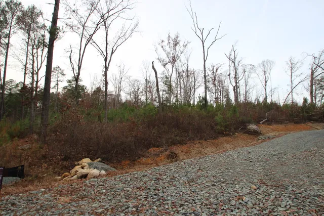 a view of dirt yard with large trees